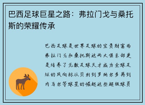 巴西足球巨星之路：弗拉门戈与桑托斯的荣耀传承